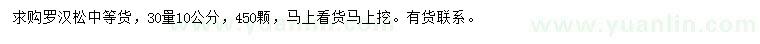 求購(gòu)30量10公分羅漢松