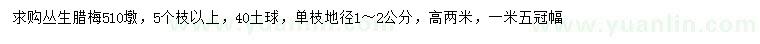 求購高2米叢生臘梅