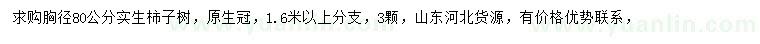 求購胸徑80公分柿子樹