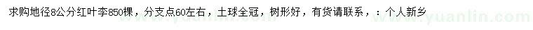 求購(gòu)地徑8公分紅葉李