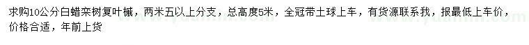 求購白蠟、欒樹(shù)、復葉槭