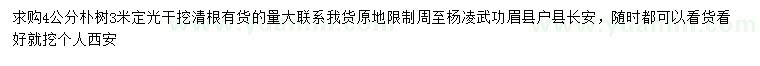 求購4公分樸樹(shù)