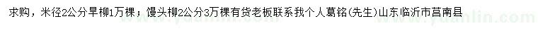 求購米徑2公分旱柳、饅頭柳
