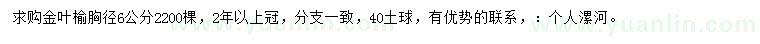 求購胸徑6公分金葉榆