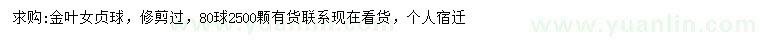 求購金葉女貞球
