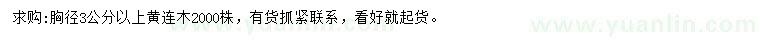 求購胸徑3公分以上黃連木