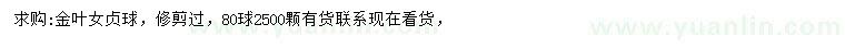求購金葉女貞