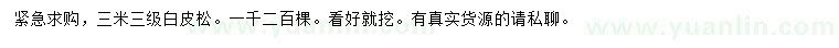 求購(gòu)3米白皮松