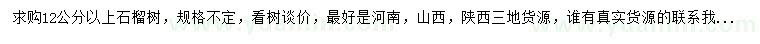 求購12公分以上石榴
