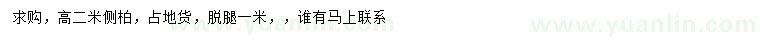 求購高2米側(cè)柏