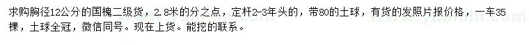 求購(gòu)胸徑12公分國(guó)槐