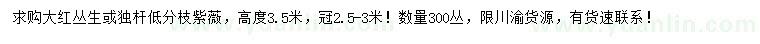 求購高3.5米紫薇