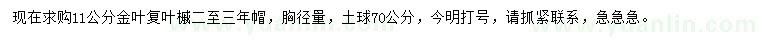 求購11公分金葉復(fù)葉槭