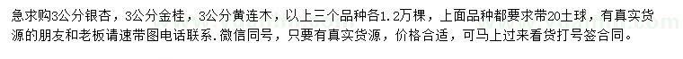 求購銀杏、金桂、黃連木