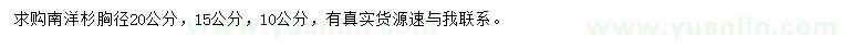 求購胸徑10、15、20公分南洋杉