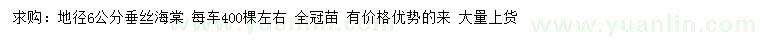 求購地徑6公分垂絲海棠