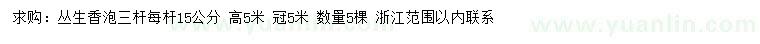 求購高5米叢生香泡樹