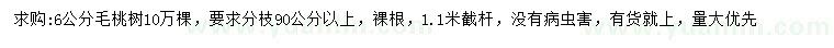 求購6公分毛桃樹