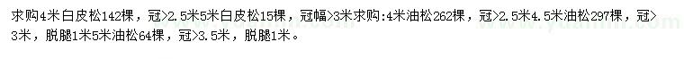求購(gòu)4、5米白皮松、4.5、5米油松