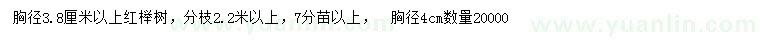 求購胸徑3.8公分以上紅櫸樹