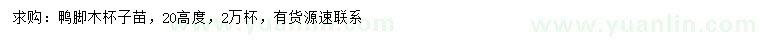 求購(gòu)高20公分鴨腳木