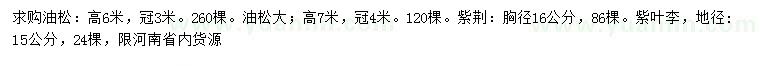 求購(gòu)油松、紫荊、紫葉李