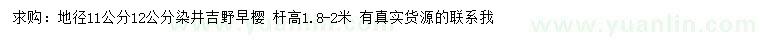 求購地徑11、12公分染井吉野櫻