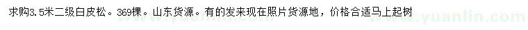 求購3.5米白皮松