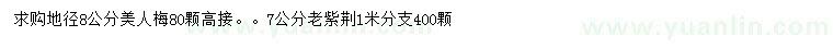 求購地徑8公分美人梅、7公分老紫荊