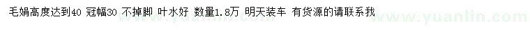 求購高度40公分毛娟