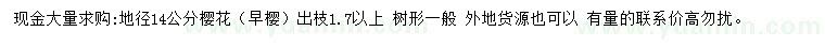 求購地徑14公分早櫻