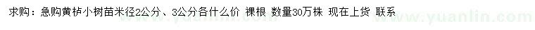 求購米徑2、3公分黃櫨
