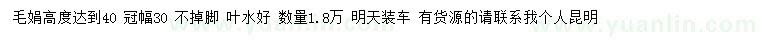 求購高度40公分毛鵑