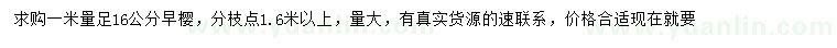 求購1米量足16公分早櫻