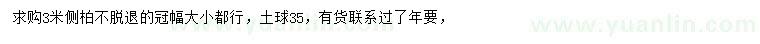 求購(gòu)3米側(cè)柏