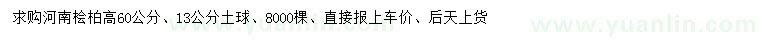 求購(gòu)高60公分河南檜柏