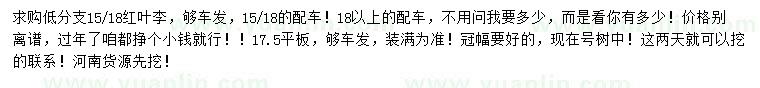 求購15-18公分低分支紅葉李