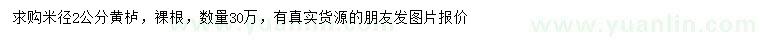 求購米徑2公分黃櫨