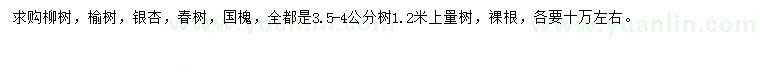 求購(gòu)柳樹(shù)、榆樹(shù)、銀杏等