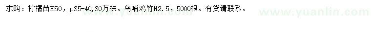 求購(gòu)檸檬苗、烏哺雞竹