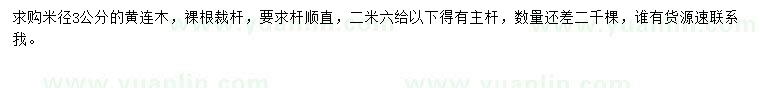 求購米徑3公分黃連木