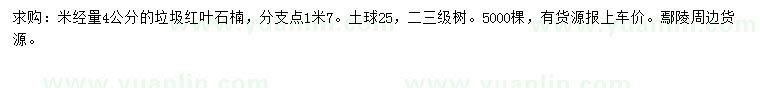 求購(gòu)米徑4公分紅葉石楠