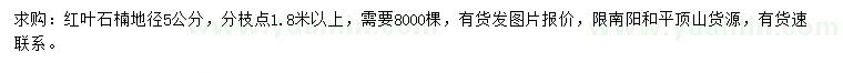 求購地徑5公分紅葉石楠