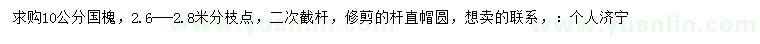 求購10公分國槐