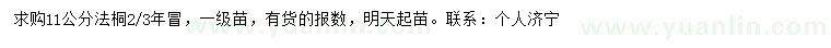 求購11公分法桐