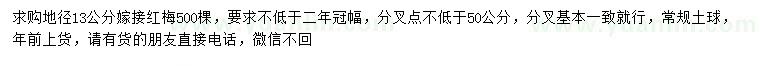 求購地徑13公分嫁接紅梅