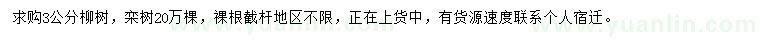 求購3公分柳樹、欒樹