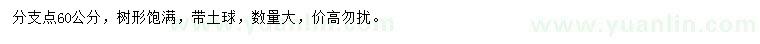 求購(gòu)10公分以上石榴樹