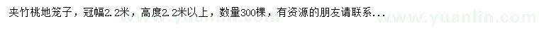 求購冠幅2.2米夾竹桃