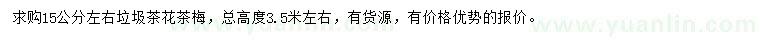求購(gòu)15公分左右茶花、茶梅